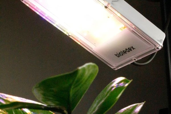 LED Pflanzenbeleuchtung